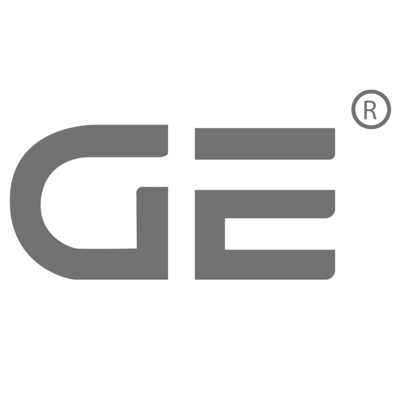 GE India